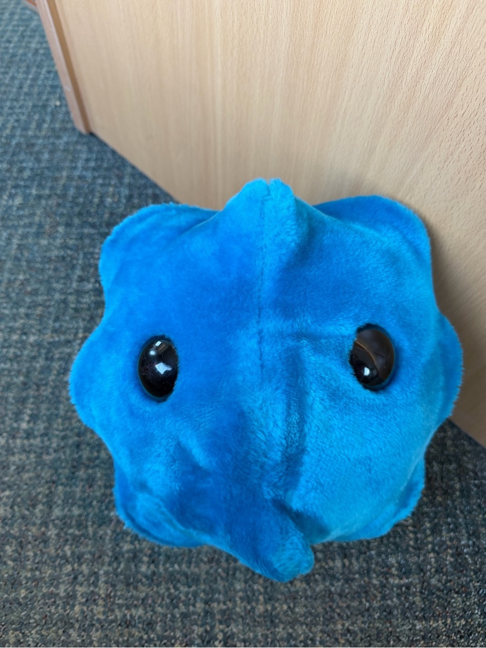 Gigantic Microbes Plush